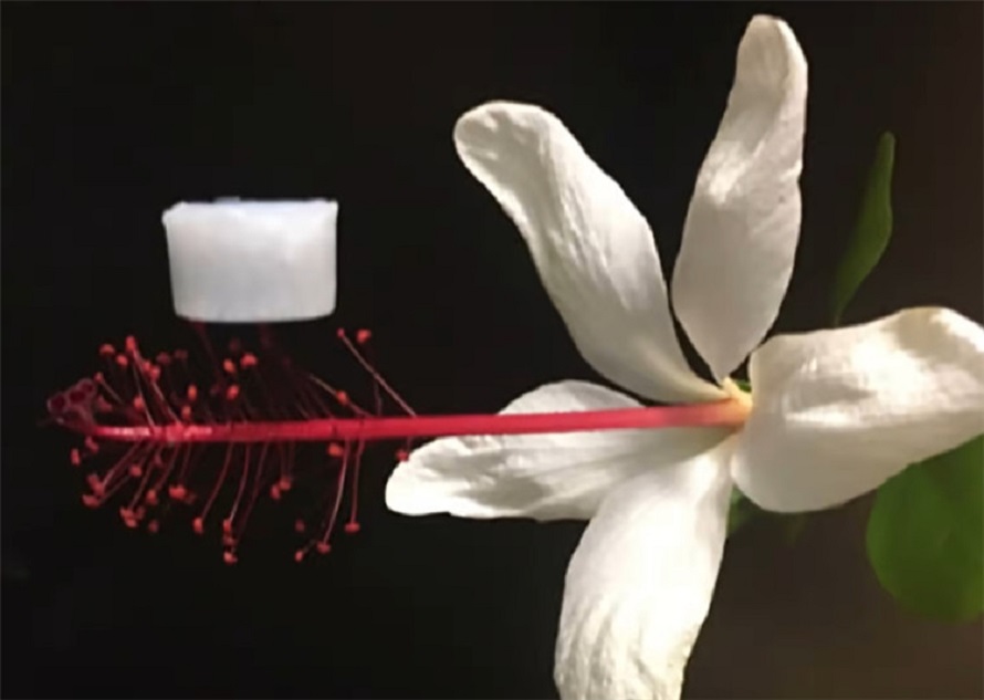 气凝胶在冷链中的应用原理