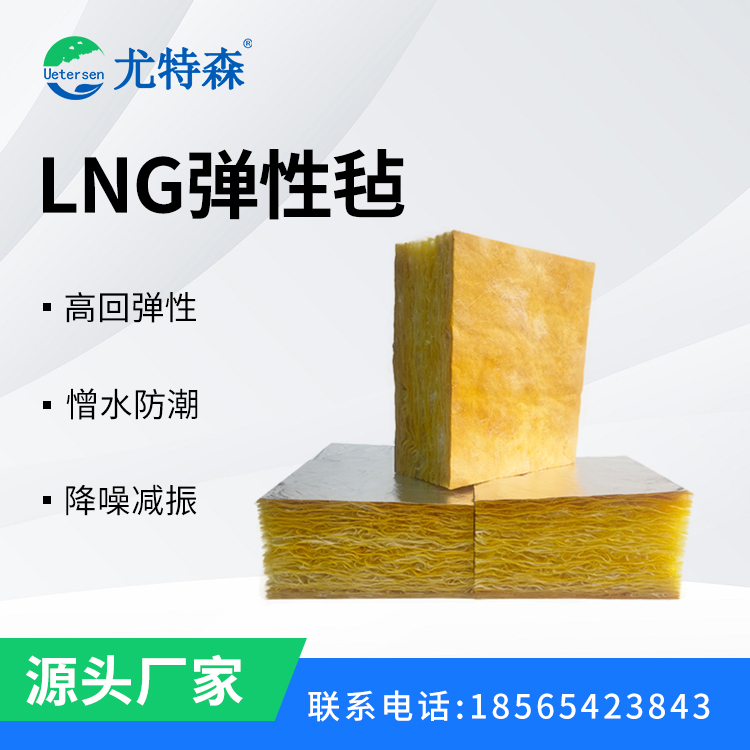 LNG弹性毡-模板4（上海）.jpg